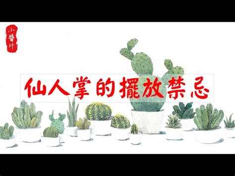 仙人掌放後陽台|後陽台仙人掌風水學